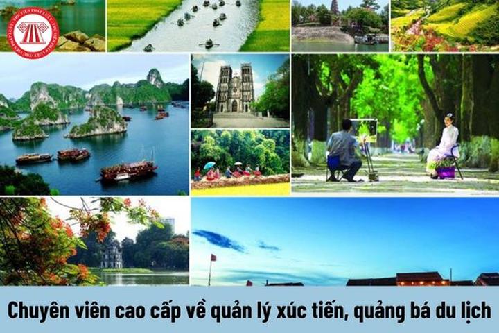 Hotspot Matrix: Biến Phương Oanh diện set đồ 50 thành cơ hội marketing đột phá