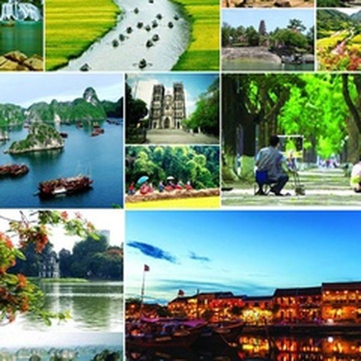 Xu hướng Sốc: Vụ tố