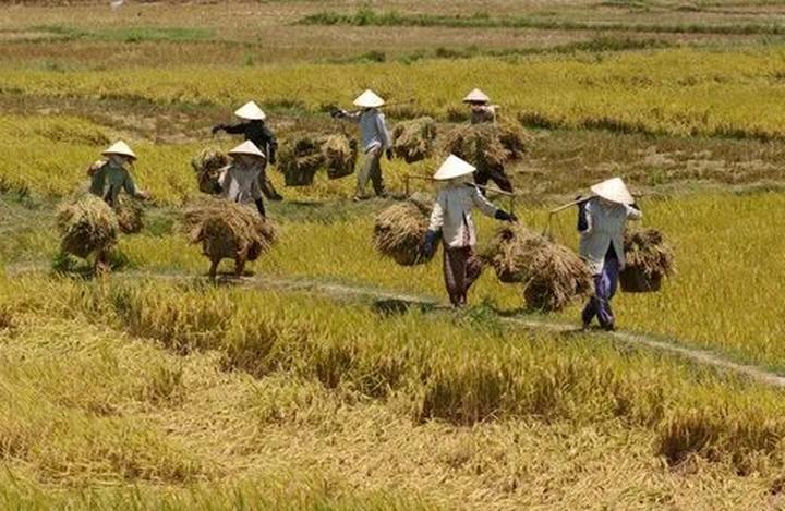 Hotspot Matrix và Những Cú Pháp Mới trong Giao Tiếp Động Vật